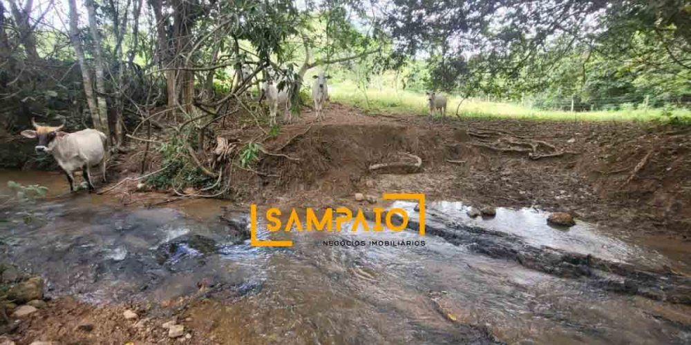 Agua (39)