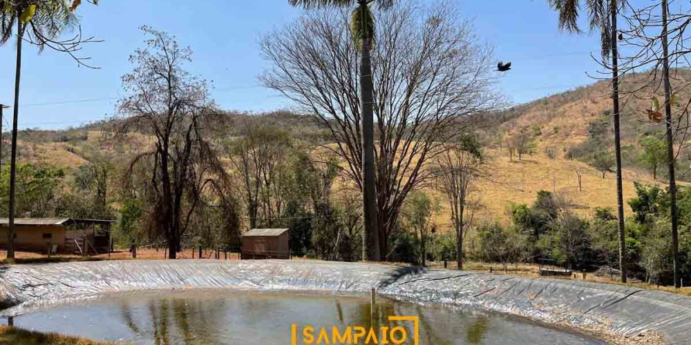 Agua (44)